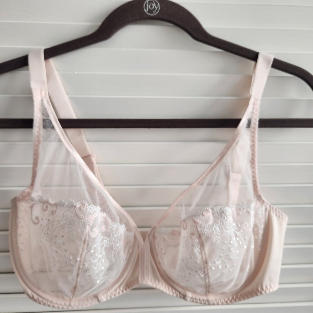 Simone Perele Delice Sheer Underwire Plunge Bra - 34F (US DDD)